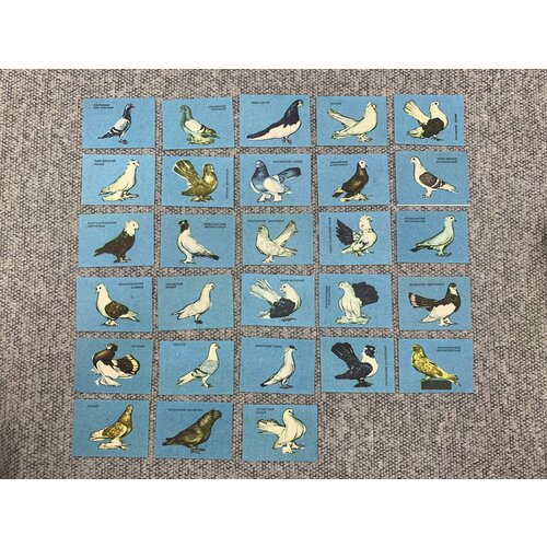 Набор из 28 коллекционных спичечных этикеток СССР - Птицы