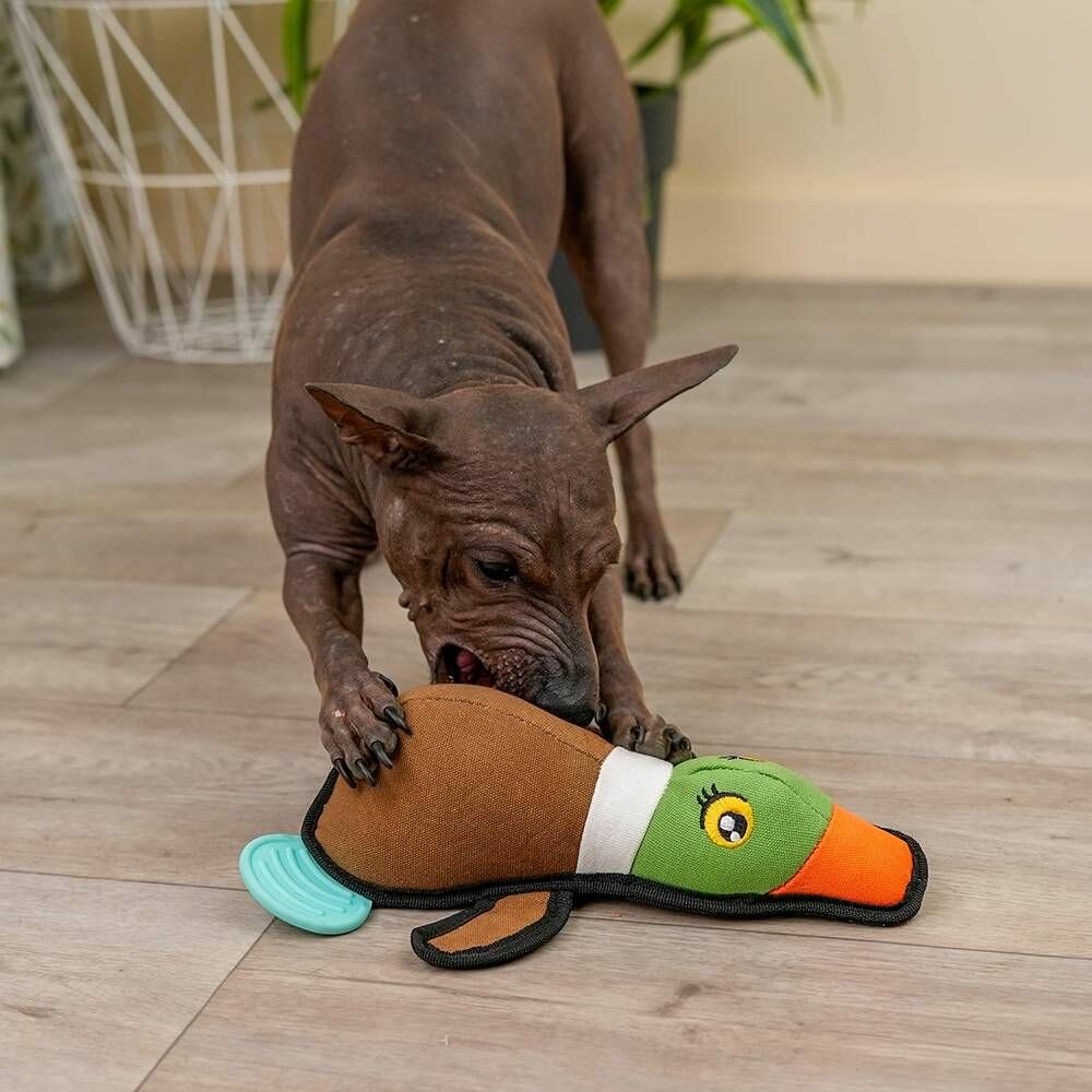 Rurri Игрушка для собак Утка, 27 см - фото №3