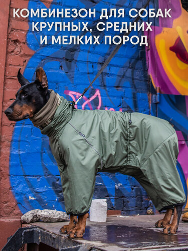 Изображение товара Утепленный комбинезон для собак средних и крупных пород, цвет хаки, Д2