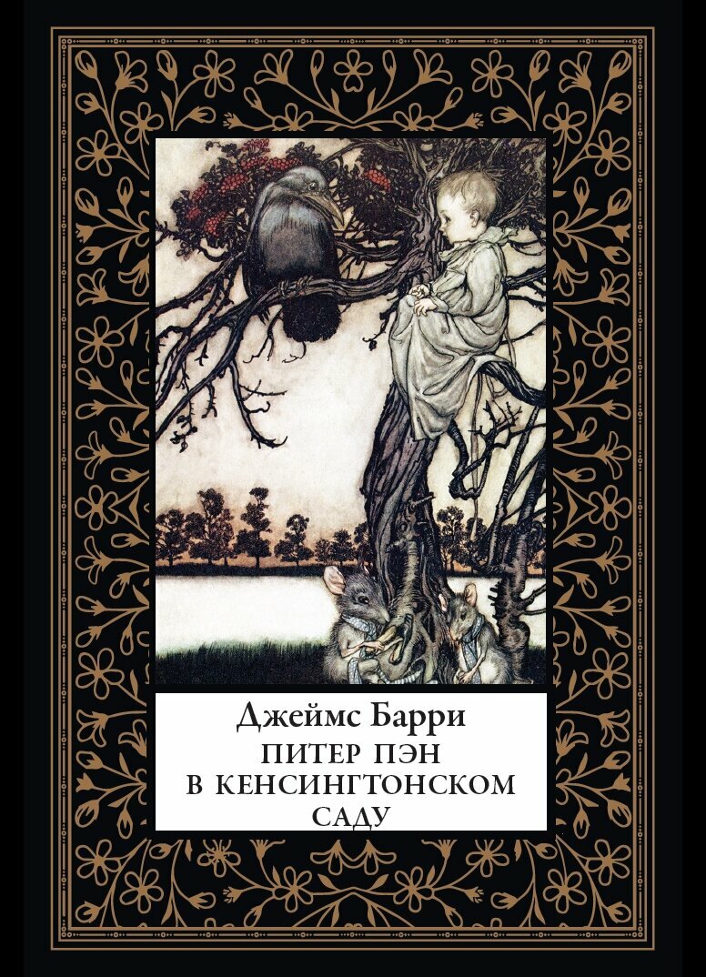 Питер Пэн в Кенсингтонском саду БМЛ(мф). Барри Дж. Иллюстрации Артура Рэкхемв