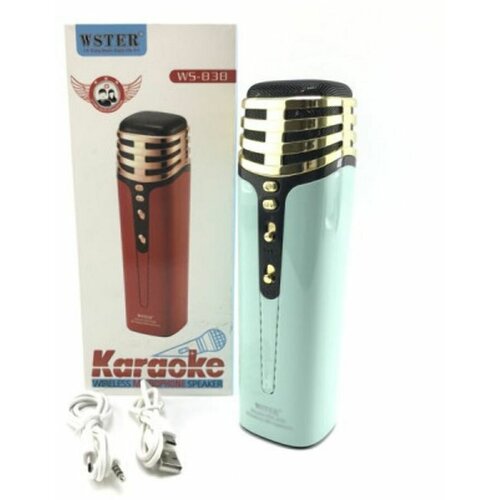 Беспроводной караоке микрофон WS838 зеленый с динамиком 99000₽