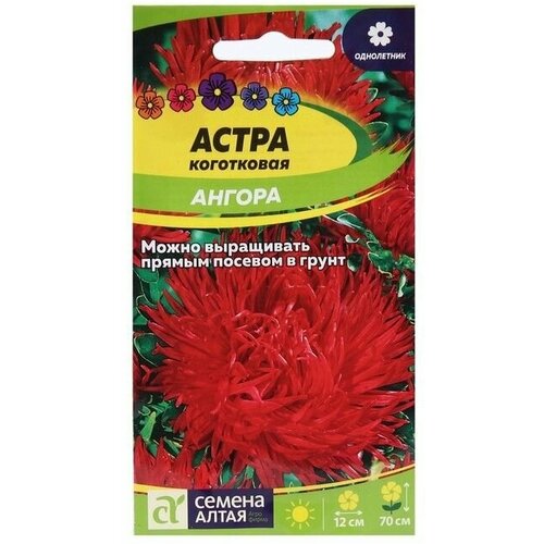 Семена цветов Астра Ангора, коготковая 0,2 г 10 упаковок семена астра китайская ангора биотехника