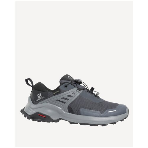 Ботинки SALOMON X Raise Gtx W Quail/India Ink (UK:5)