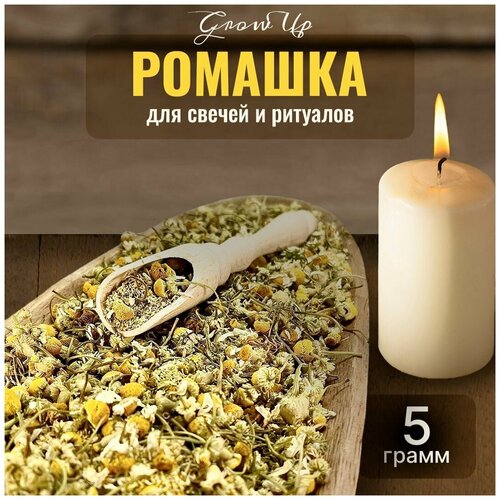Сухая трава Ромашка (цвет) для свечей и ритуалов, 5 гр