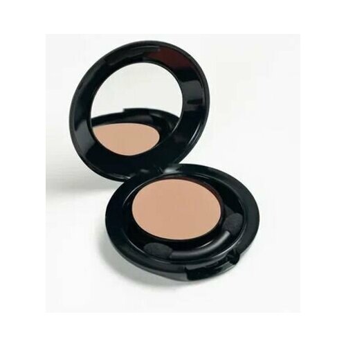 Скульптор для лица FACE nicobaggio professional make-up COMPACT SHADOW тени Тон 17