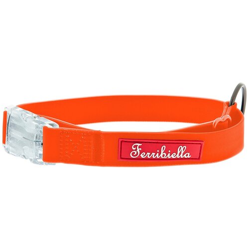 Ошейник для собак Ferribiella Collare Fun Flat, 47215, оранжевый, обхват шеи 20-30 см