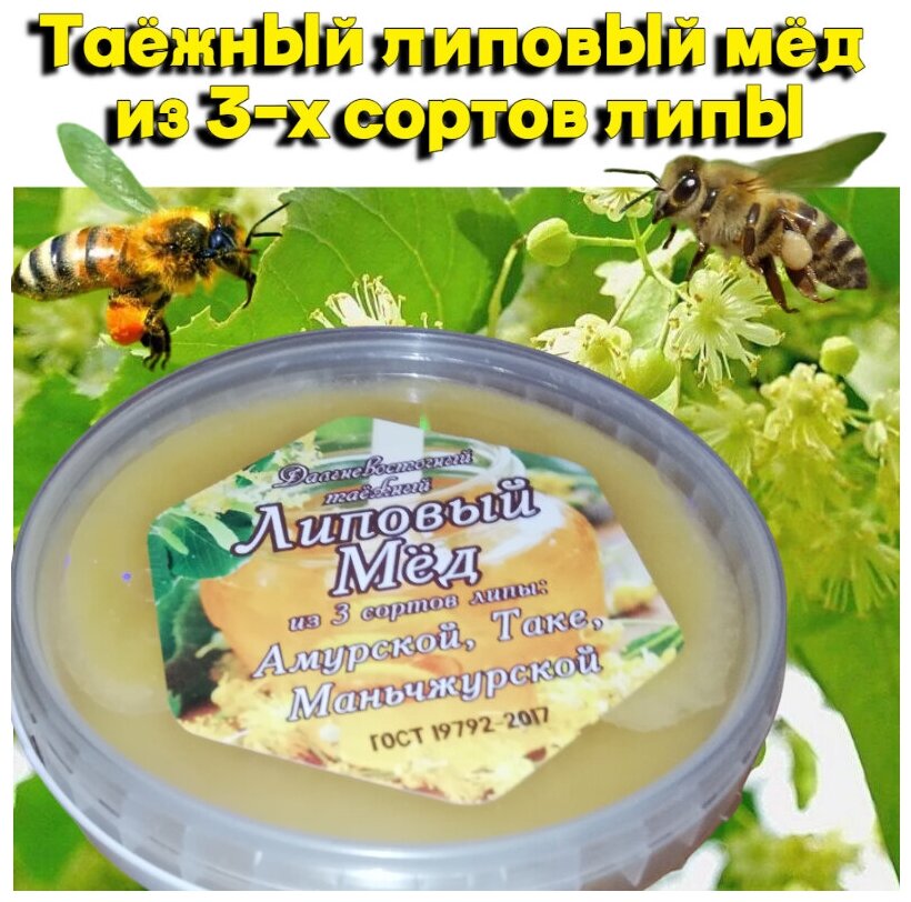 Дальневосточный таёжный липовый мёд из трех сортов липы: Амурской, Маньжурской, Таке. Объем 0,5 литра - фотография № 1