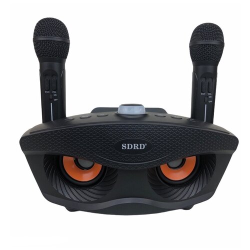 Караоке система SDRD SD306 Black 476000₽