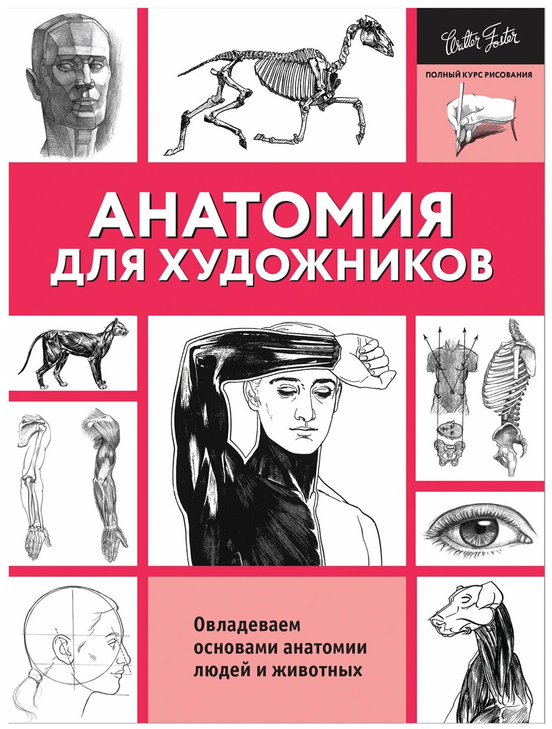 Анатомия для художников (Борисова И.И. (переводчик), Бочков Игорь А. (переводчик), Ильина Е.А. (переводчик), Степанова Анна Н. (переводчик)) - фото №1