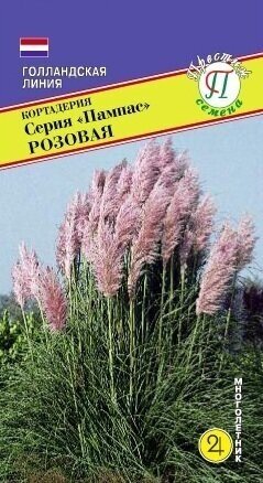 Пампасная трава Розовая. Кортадерия. Семена. Многолетник. Высота растения 25-3 м. Соцветия используют на срезку в свежем или засушенном виде