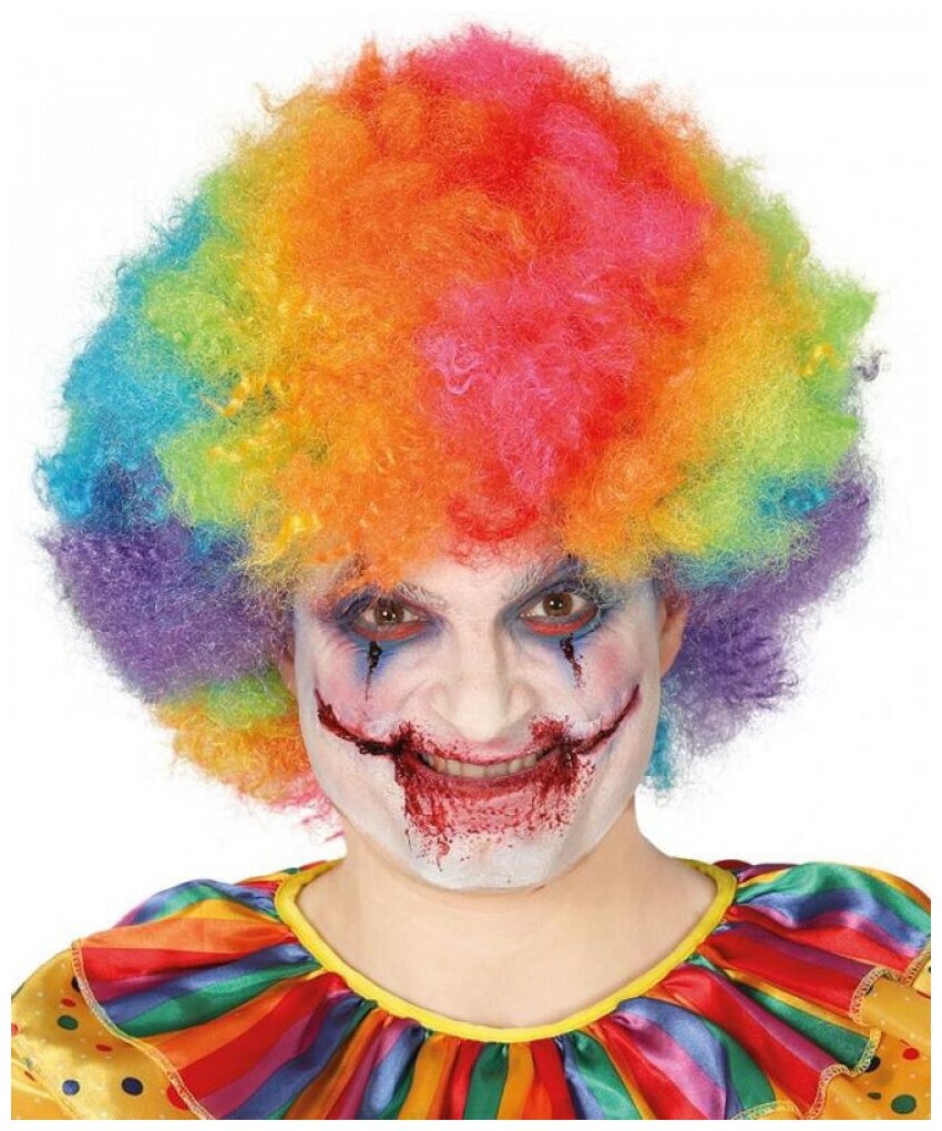 Разноцветный клоунский парик (12269)
