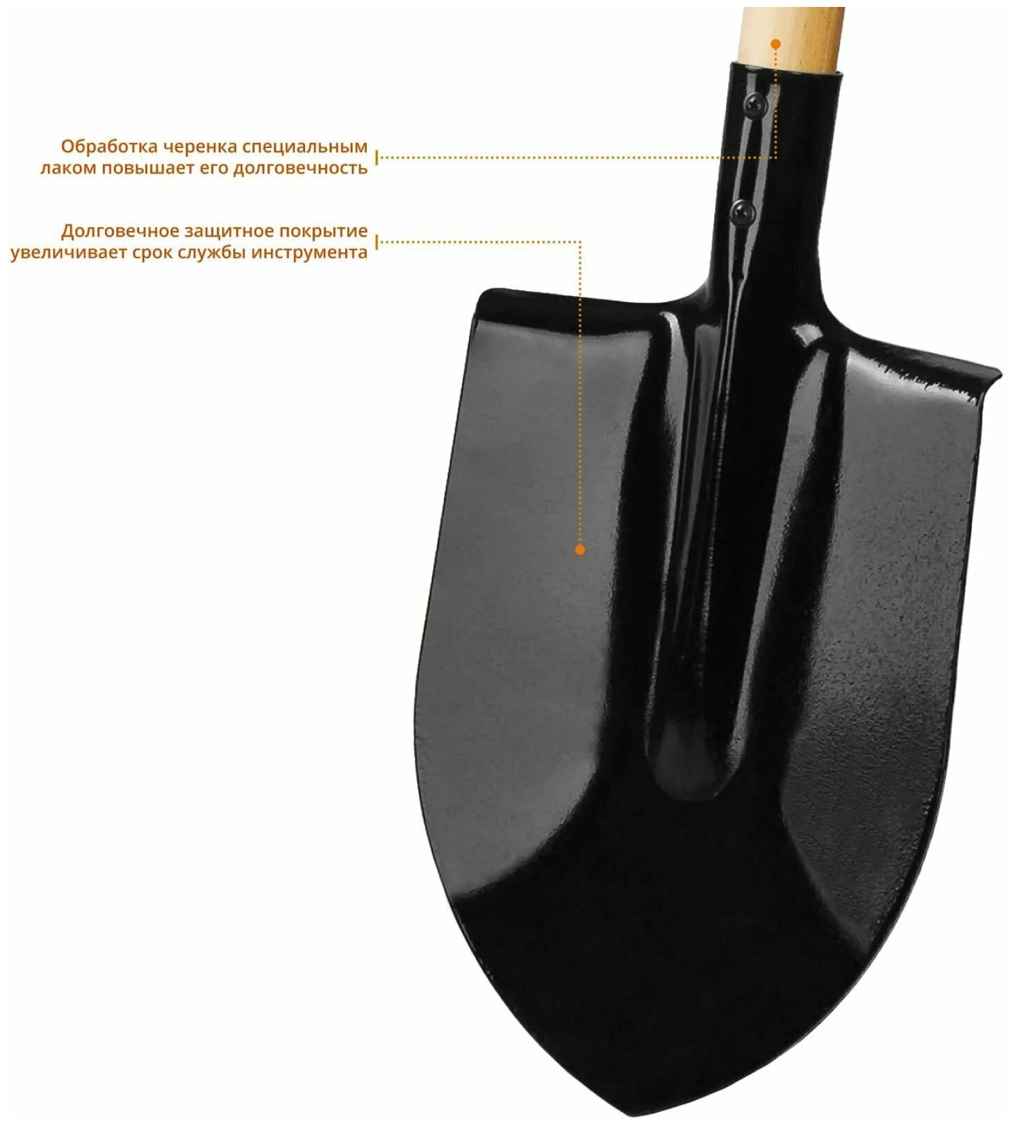 Лопата штыковая, деревянный черенок, GRINDA - фотография № 13