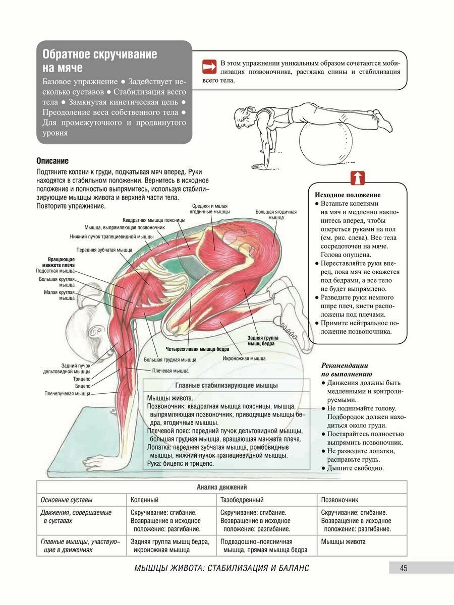 Анатомия фитнеса и силовых упражнений для женщин - фото №10