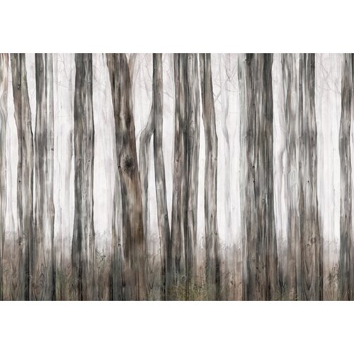 Моющиеся виниловые фотообои GrandPiK Фон. Старые доски и стволы деревьев, 200х145 см