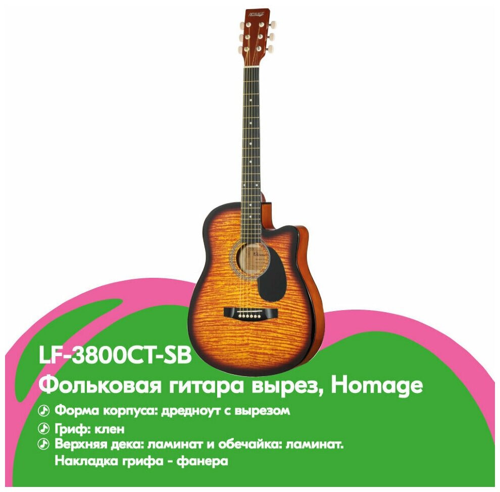 Акустическая гитара Homage - фото №5