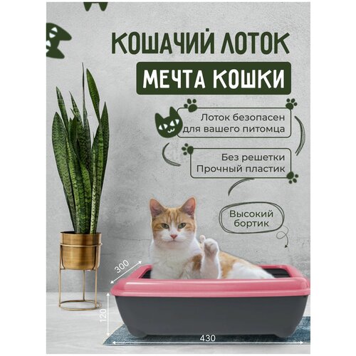 Кошачий лоток "Мечта кошки" Розовый/черный