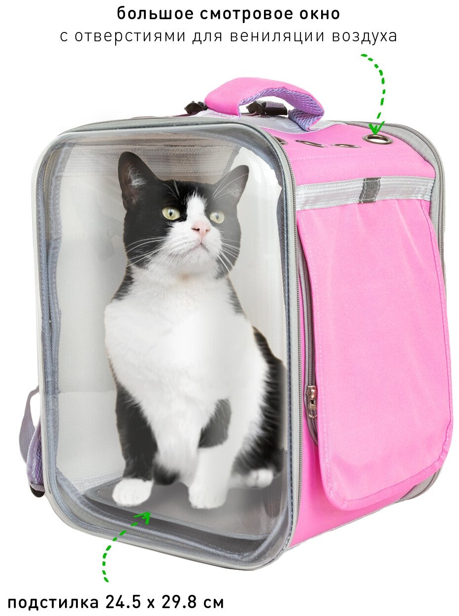 Рюкзак переноска для животных FUSION, сумка для перевозки кошек, собак, мелких и средних пород грызунов - фотография № 4