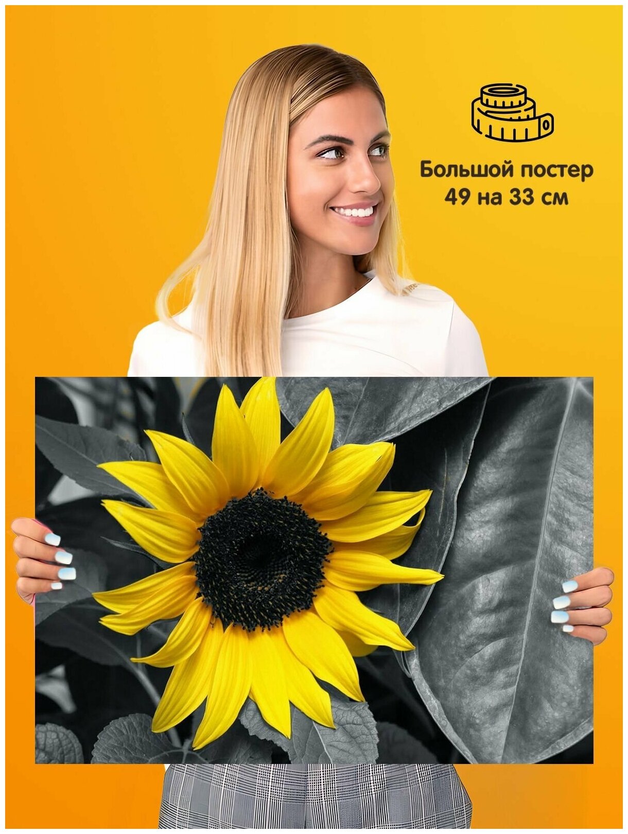 Постер плакат Sunflower Подсолнух