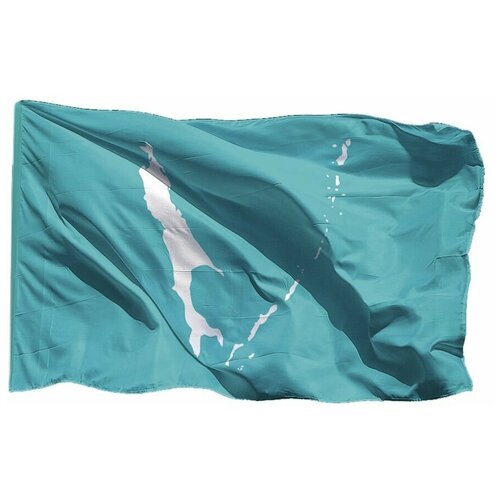 Термонаклейка флаг Сахалинской области, 7 шт семена жимолости сахалинской
