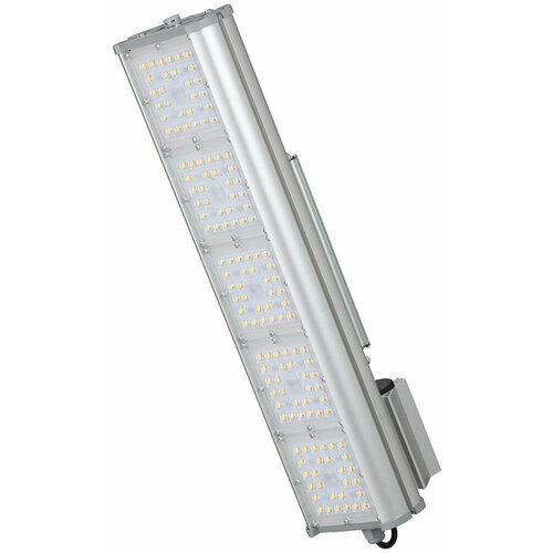 Уличный консольный прожектор Светон Фрегат 51-115-Ш-155x70-ПТ/0/0-5К80-К67 CB-C0602044