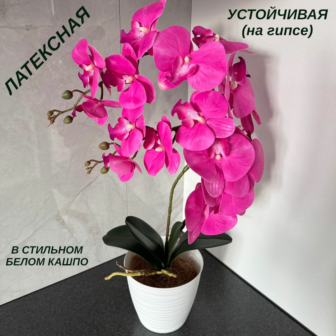Цветы Надолго. Пышная розовая латексная орхидея в горшке, высота 54 см