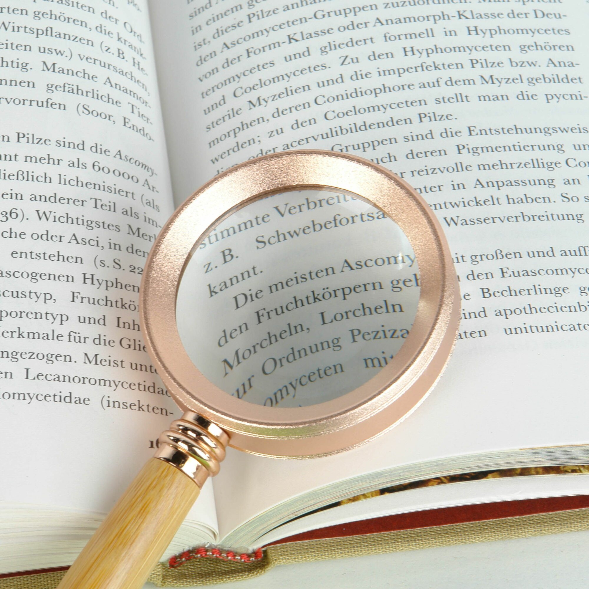 Лупа ручная Veber MG20X50, с бамбуковой ручкой, диаметр линзы 50мм, увеличение 20 крат — фото 1