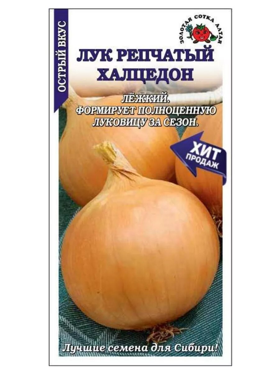 Лук Халцедон /2г/ среднесп. 110-130г.