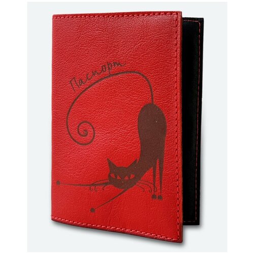 фото Обложка для паспорта kaza, красный