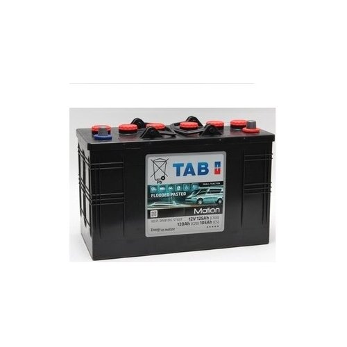 Аккумулятор тяговый TAB Tubural 120T (12В 120 Ач)