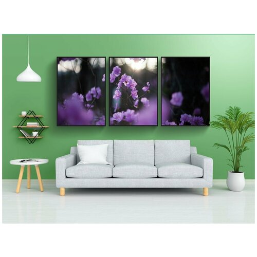 фото Набор модулных постеров для интерьера "азалия, весенние цветы, цветок" 60x90 см. в тубусе, без рамки lotsprints