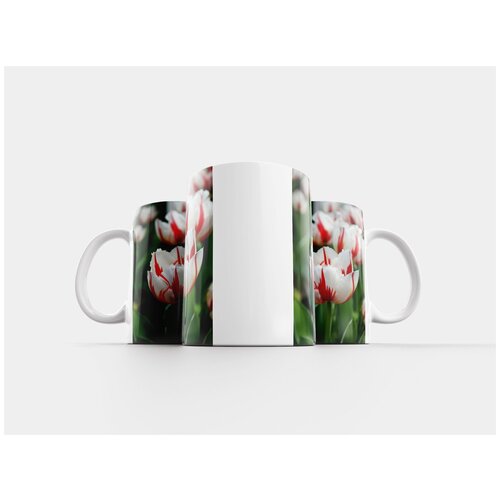 фото Кружка "тюльпан, красный и белый, блум" 320 мл lotsprints