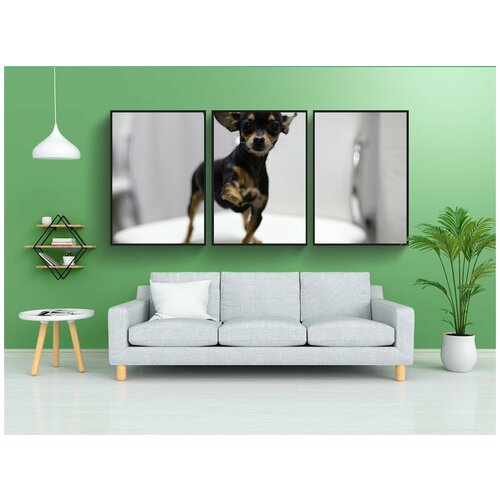 фото Набор модулных постеров для интерьера "собака, той-терьер, домашние питомцы" 60x90 см. в тубусе, без рамки lotsprints