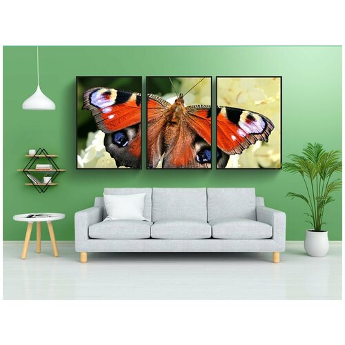 фото Набор модулных постеров для интерьера "бабочка, крылья, цветок" 60x90 см. в тубусе, без рамки lotsprints