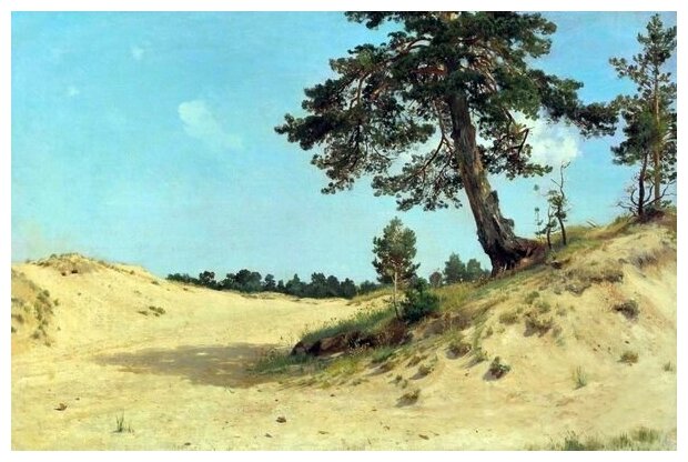 Репродукция на холсте Сосна на песке (Pine on the sand) Шишкин Иван 45см. x 30см.