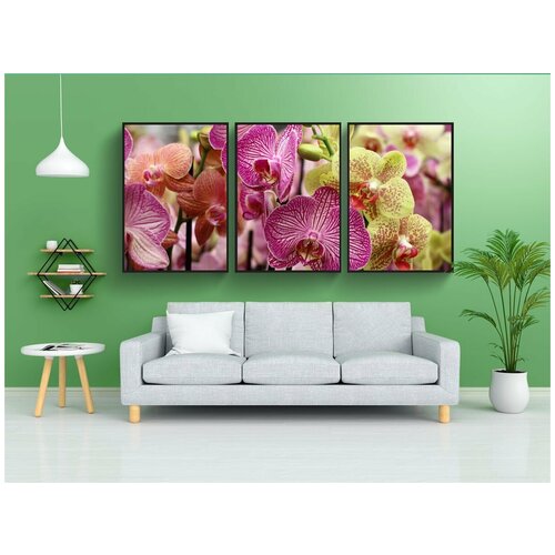 фото Набор модулных постеров для интерьера "орхидея, цветок, изолированные" 60x90 см. в тубусе, без рамки lotsprints