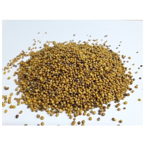 Мир Грунтов Горчица белая (сидерат), 1 кг