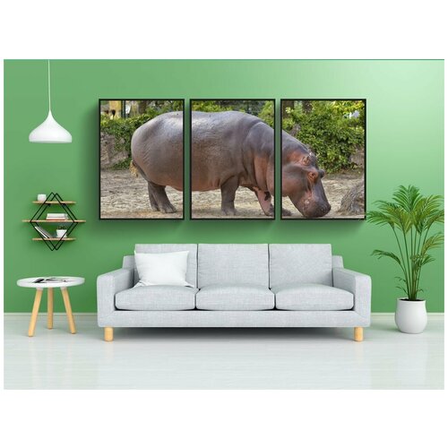 фото Набор модулных постеров для интерьера "бегемот, зоопарк, млекопитающее" 60x90 см. в тубусе, без рамки lotsprints