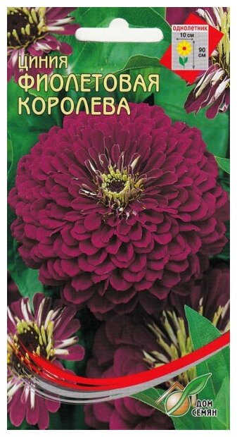 Циния Фиолетовая Королева, 35 семян