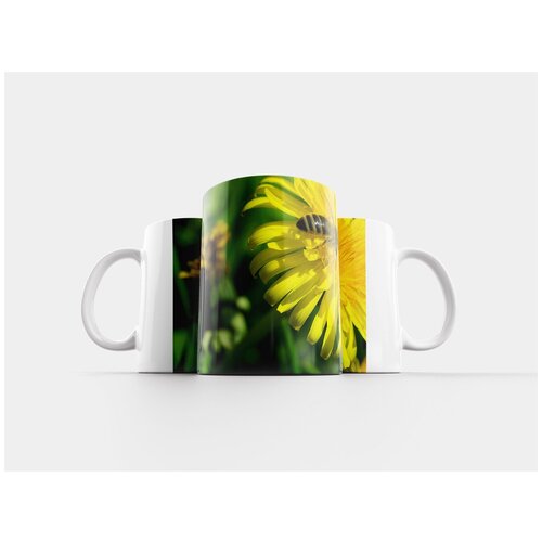 фото Кружка "пчела, одуванчик, сезон" 320 мл lotsprints