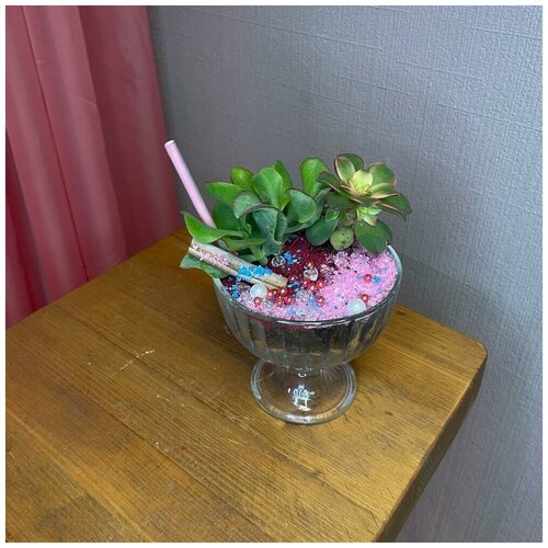 Ваза с суккулентами «Сладость»