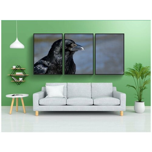 фото Набор модулных постеров для интерьера "обыкновенный ворон, ворона, снег" 60x90 см. в тубусе, без рамки lotsprints