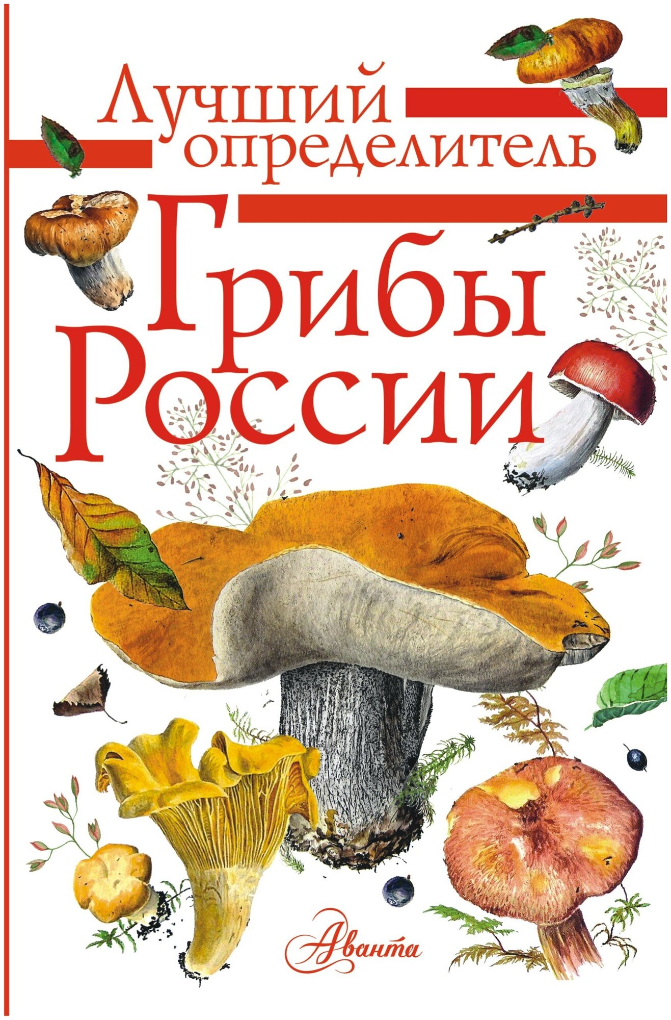 "ЛучшийОпределитель Грибы России. "Грибы России. Определитель