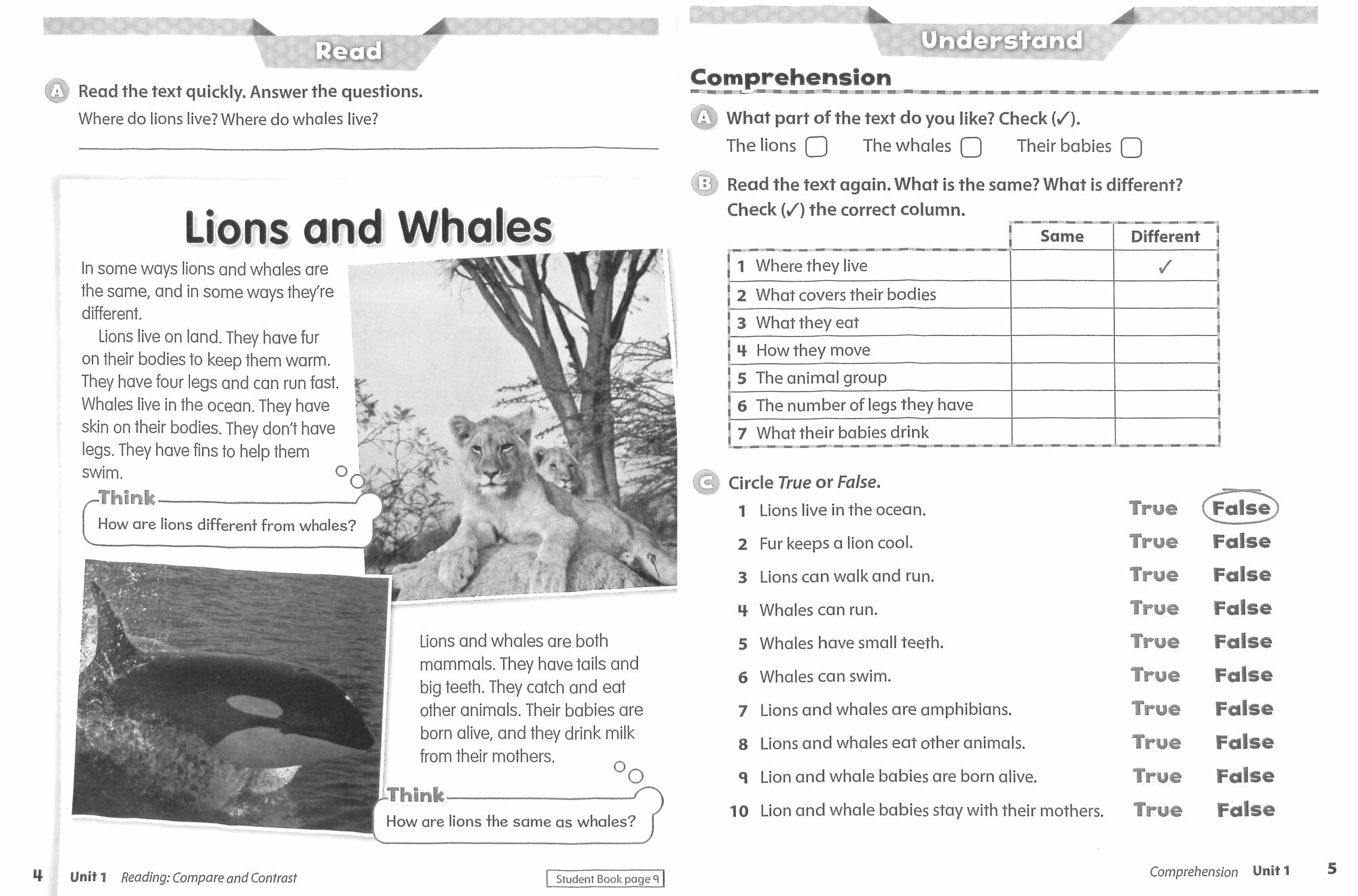 Oxford Discover 2. Workbook (Lesley Koustaff, Susan Rivers) - фото №3