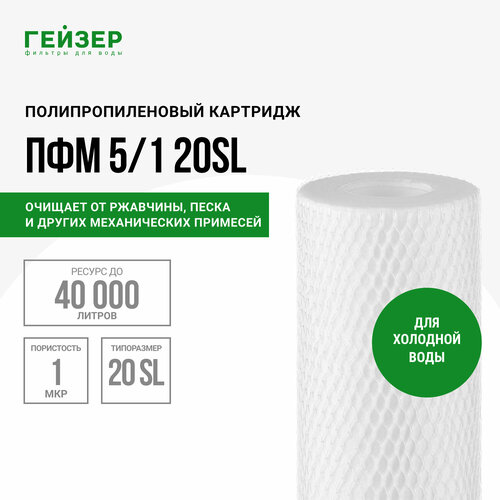 Гейзер Картридж ПФМ 5/1 SL20 28218, 1 уп, 1 шт.