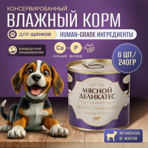 Изображение товара Yummy Мясной Деликатес Влажный корм для щенков Ягненок натуральный в желе, 240 г. * 6 шт.
