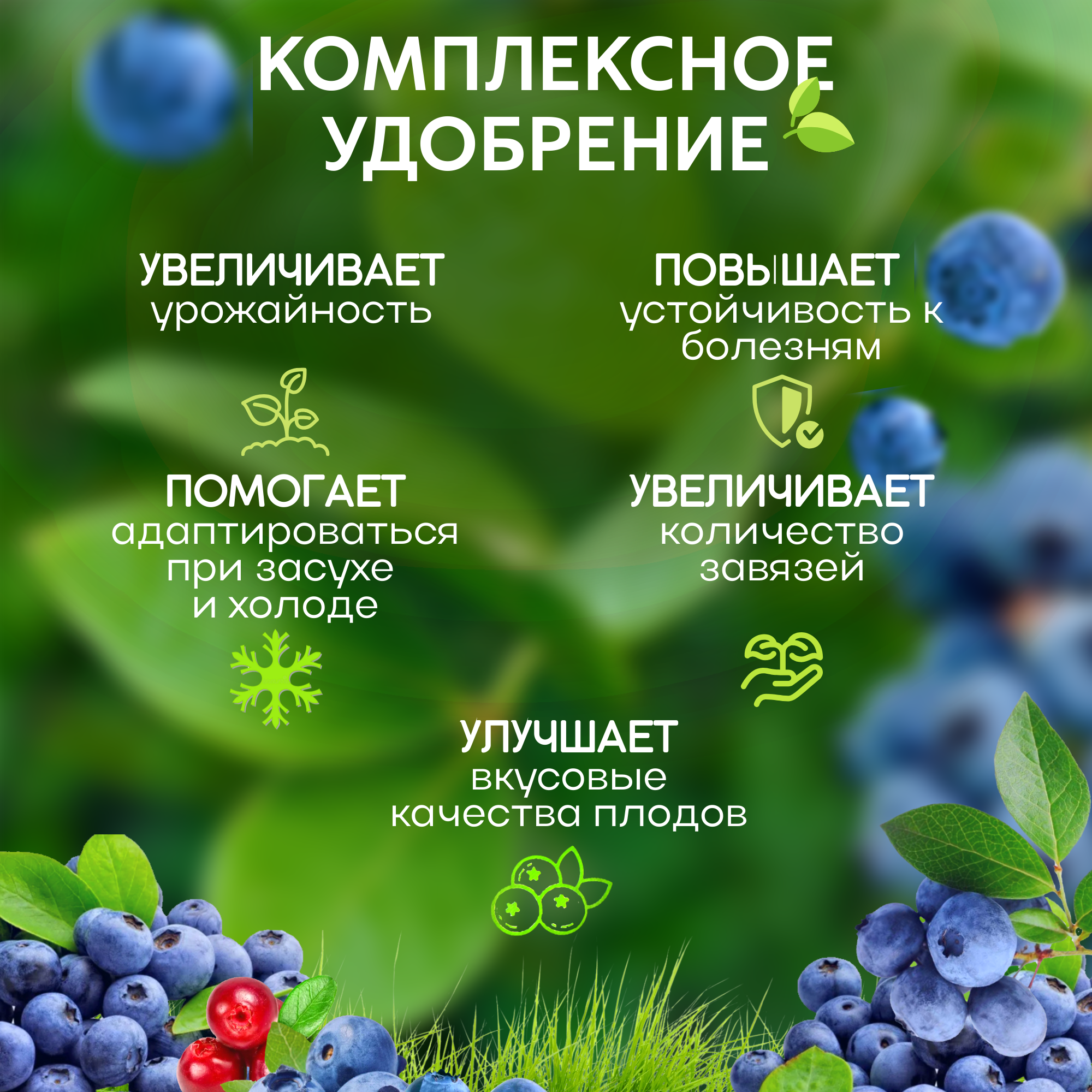 Изображение Комплексное удобрение для голубики, черники, лесных ягод, 1л