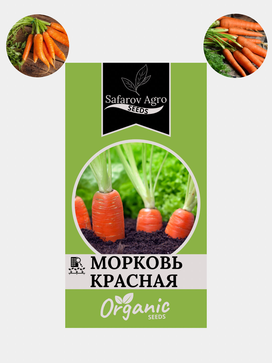 Семена Моркови. Морковь Семена Семена Моркови. Морковь Семена