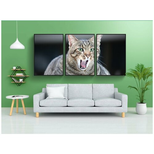 фото Набор модулных постеров для интерьера "кошка, жирный кот, животные" 60x90 см. в тубусе, без рамки lotsprints