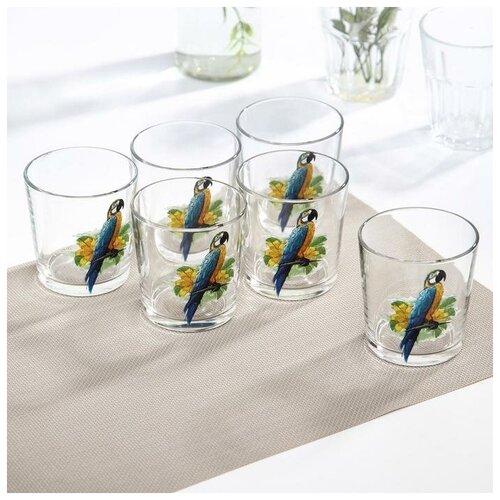 фото Набор низких стаканов «тропики», 6 шт, 250 мл mikimarket