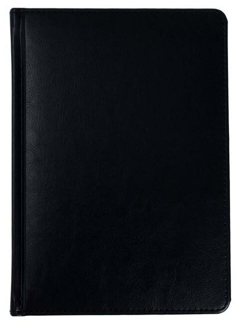 Альт Ежедневник недатированный А5+, 136 листов Sidney Nebraska, твёрдая обложка, искусственная кожа, серебряный срез, чёрный